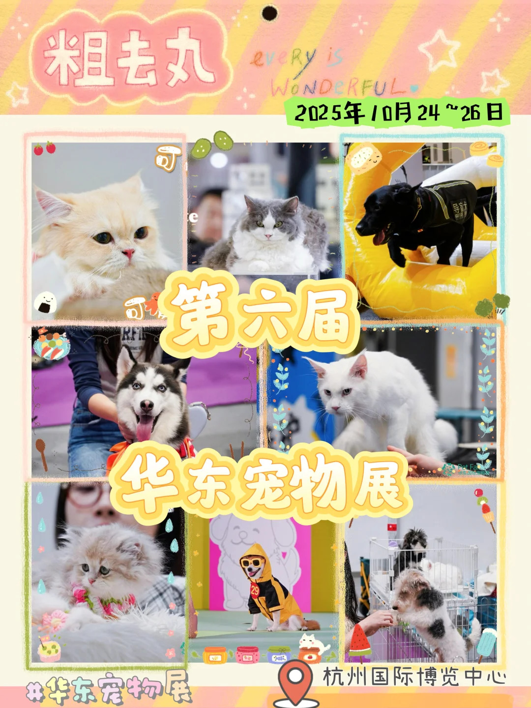 ?华东宠物展种草｜铲屎官们的狂欢盛典来啦！