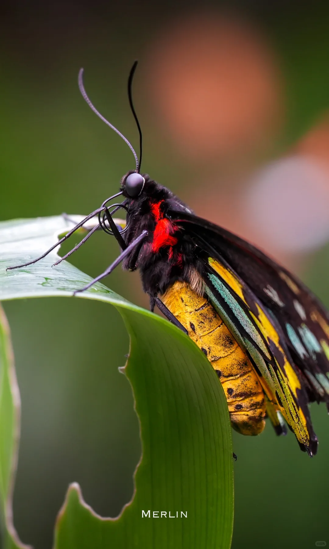我用索尼a6700拍的照片