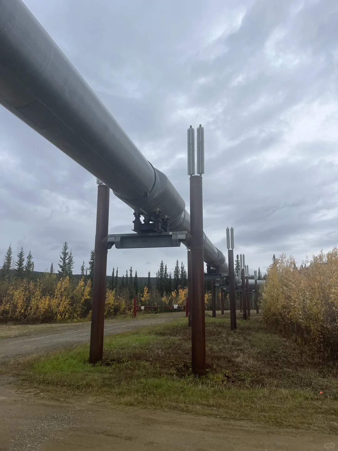 阿拉斯加石油管道