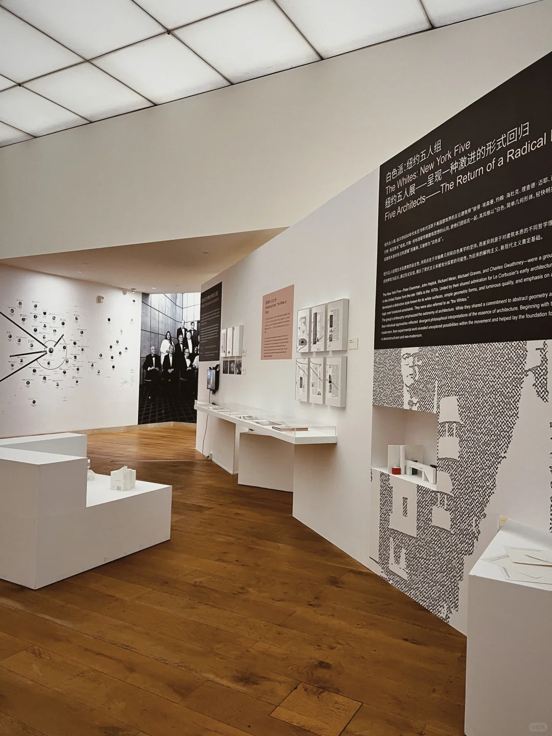 解码埃森曼：形式之外