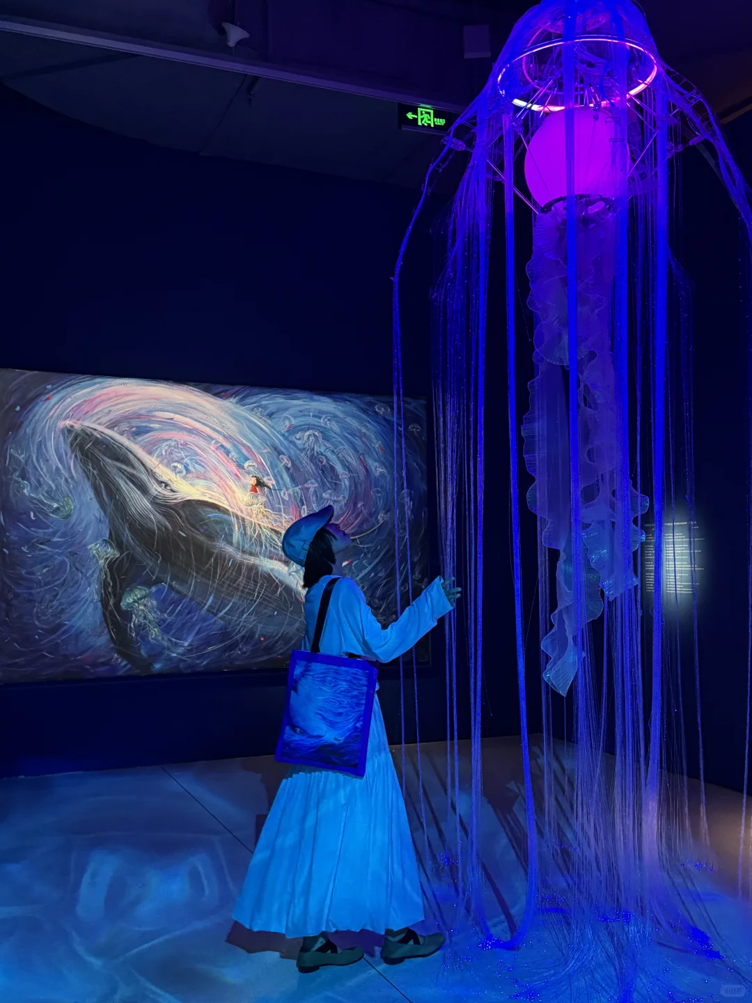 北京重磅新展!闯入如花梦境,治愈力拉满!!!