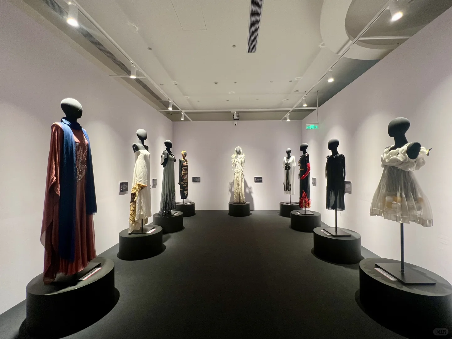 达利的形状｜中国巡展·珠海横琴臻林站