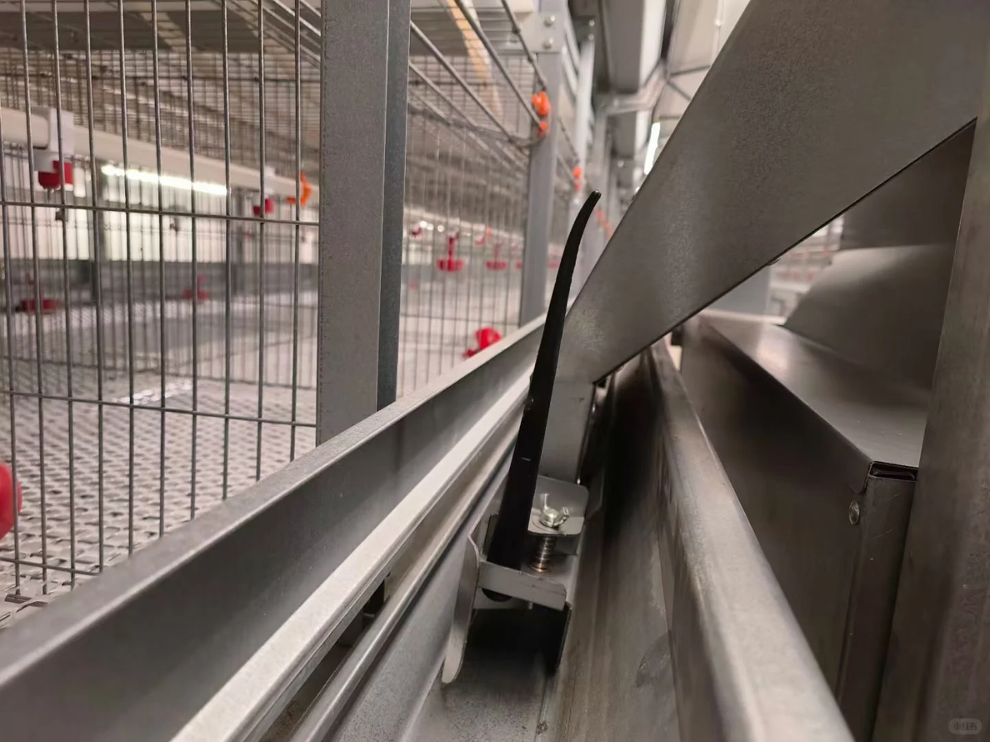 万事俱备 只欠鸡来 年代化养殖设备