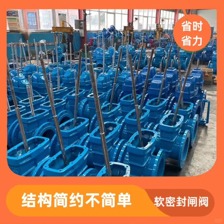 具有较高的耐腐蚀性能，适用于各种腐蚀性介