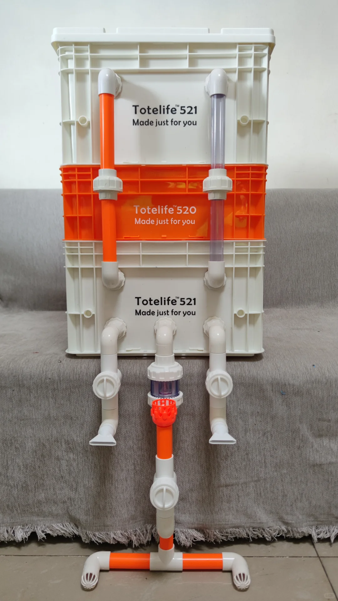 金典白橙【周转箱过滤】