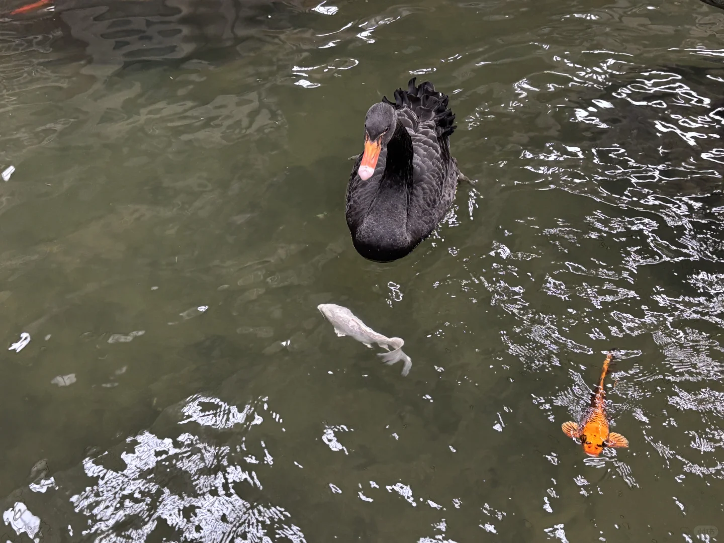 北京博物馆分享第二十九站—北京地热博览馆！