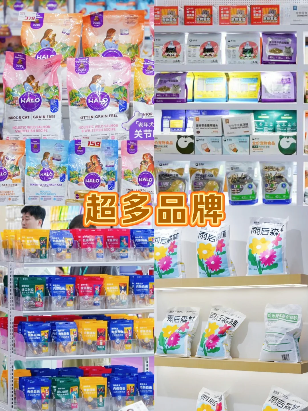 冲!第六届华东宠物展来杭州啦!