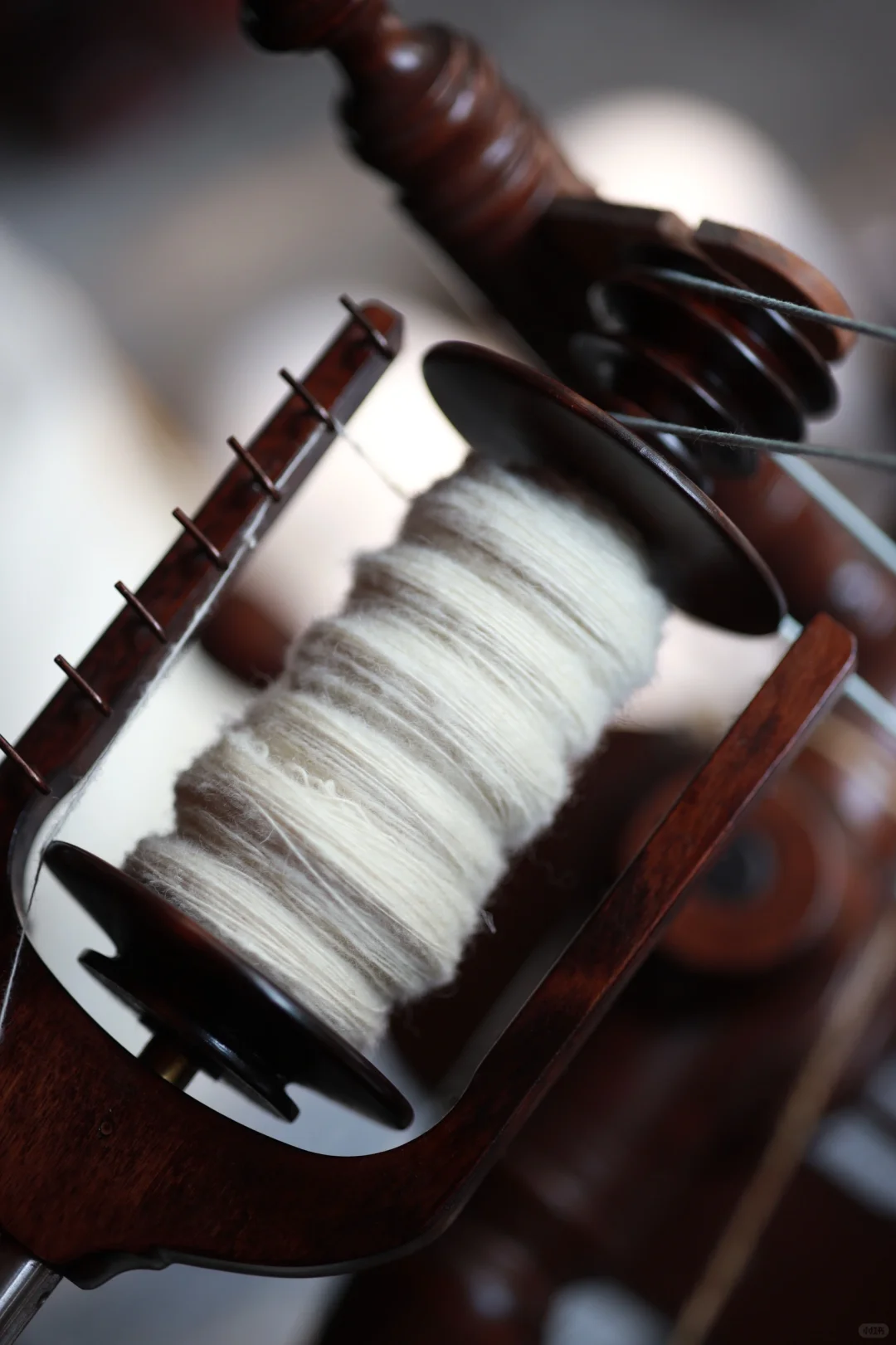 今日纺国产绵羊毛～