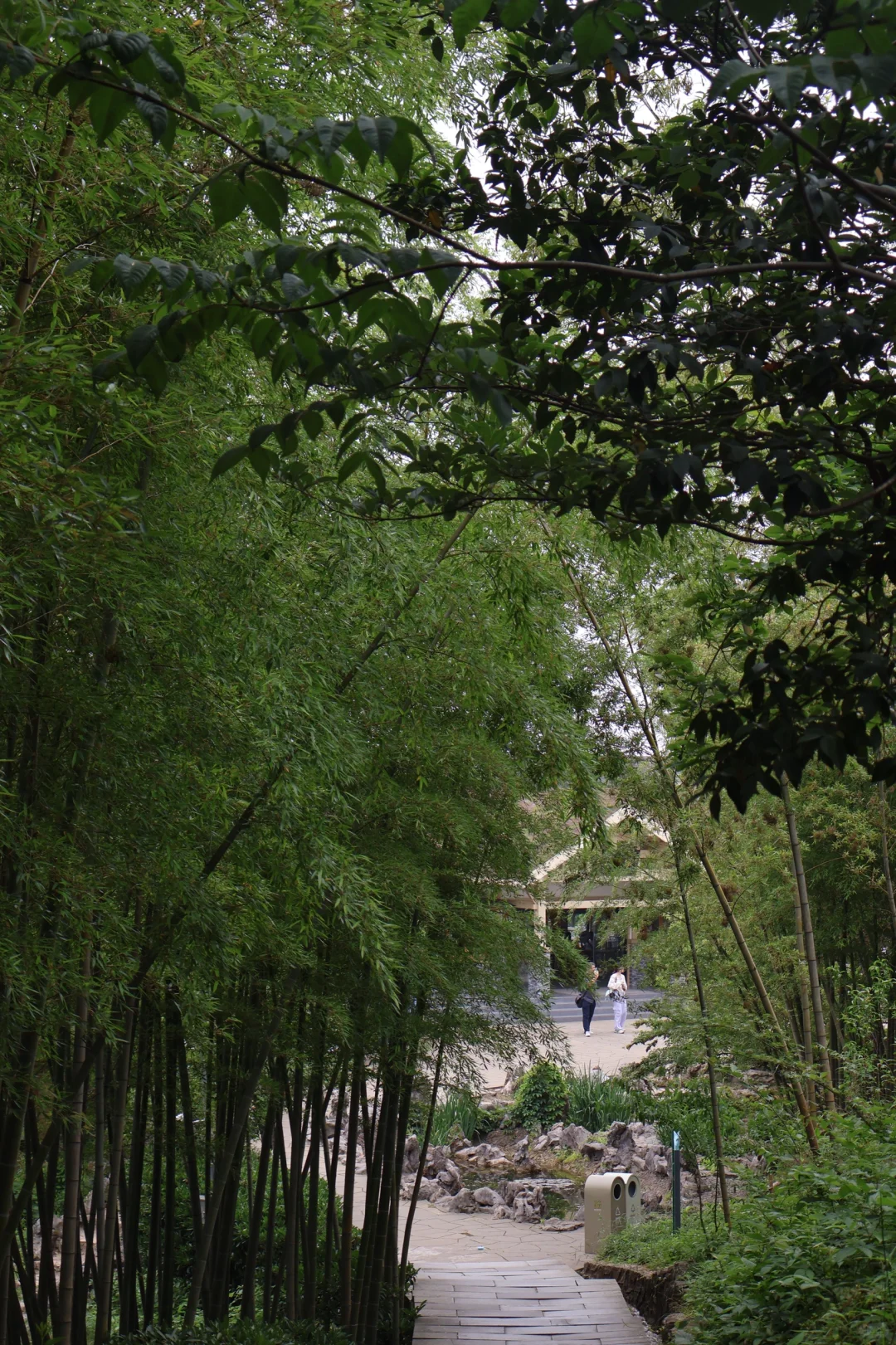 佳能r50狗都不买