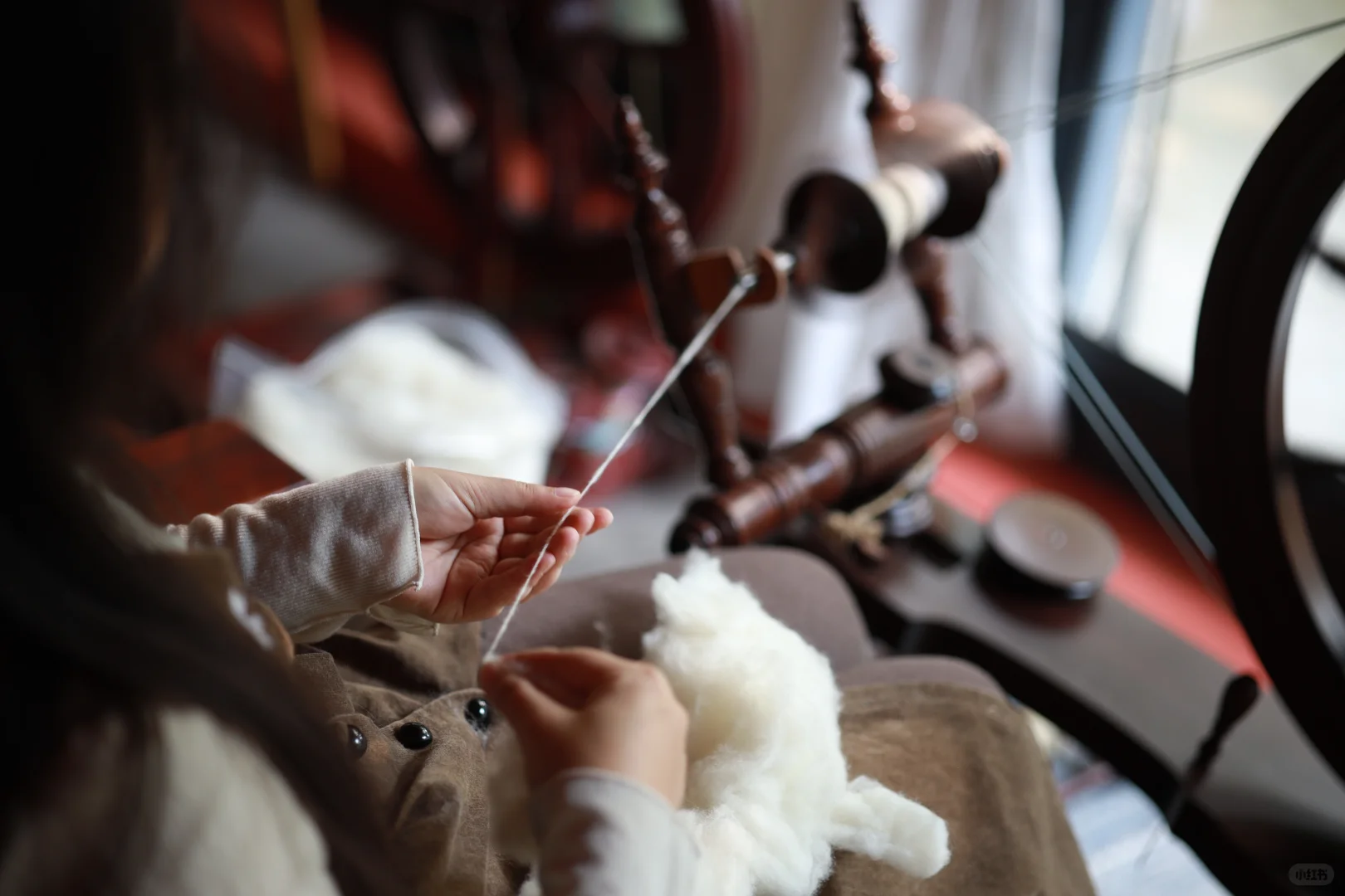 今日纺国产绵羊毛～