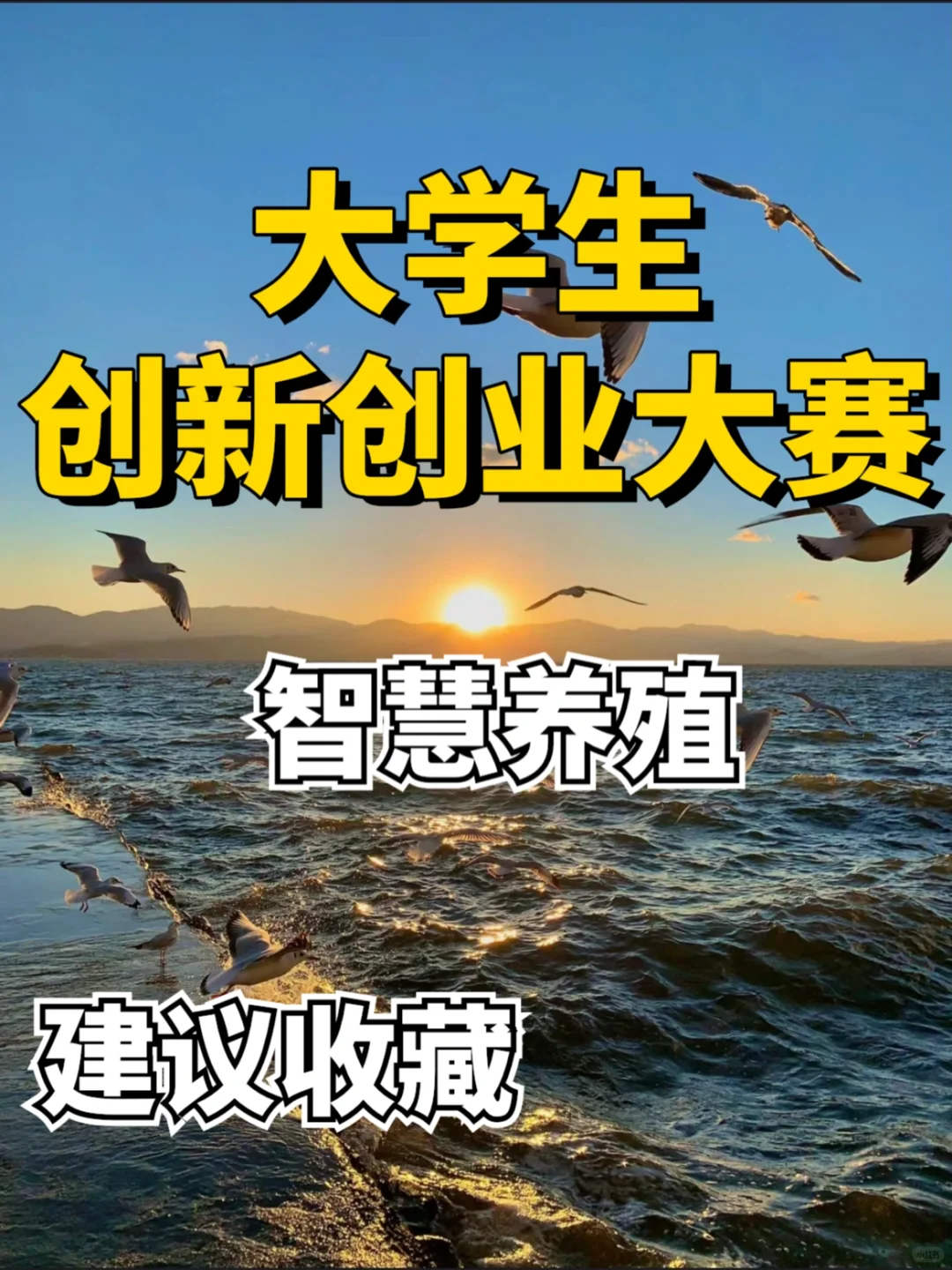 创新创业大赛/智慧养殖