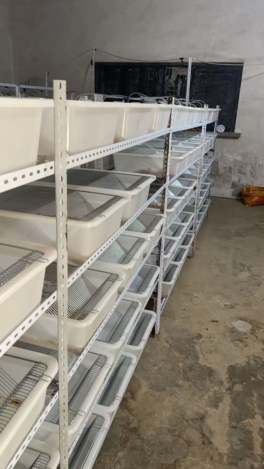 小白鼠养殖场清场，盆子水嘴架子盖子低价出