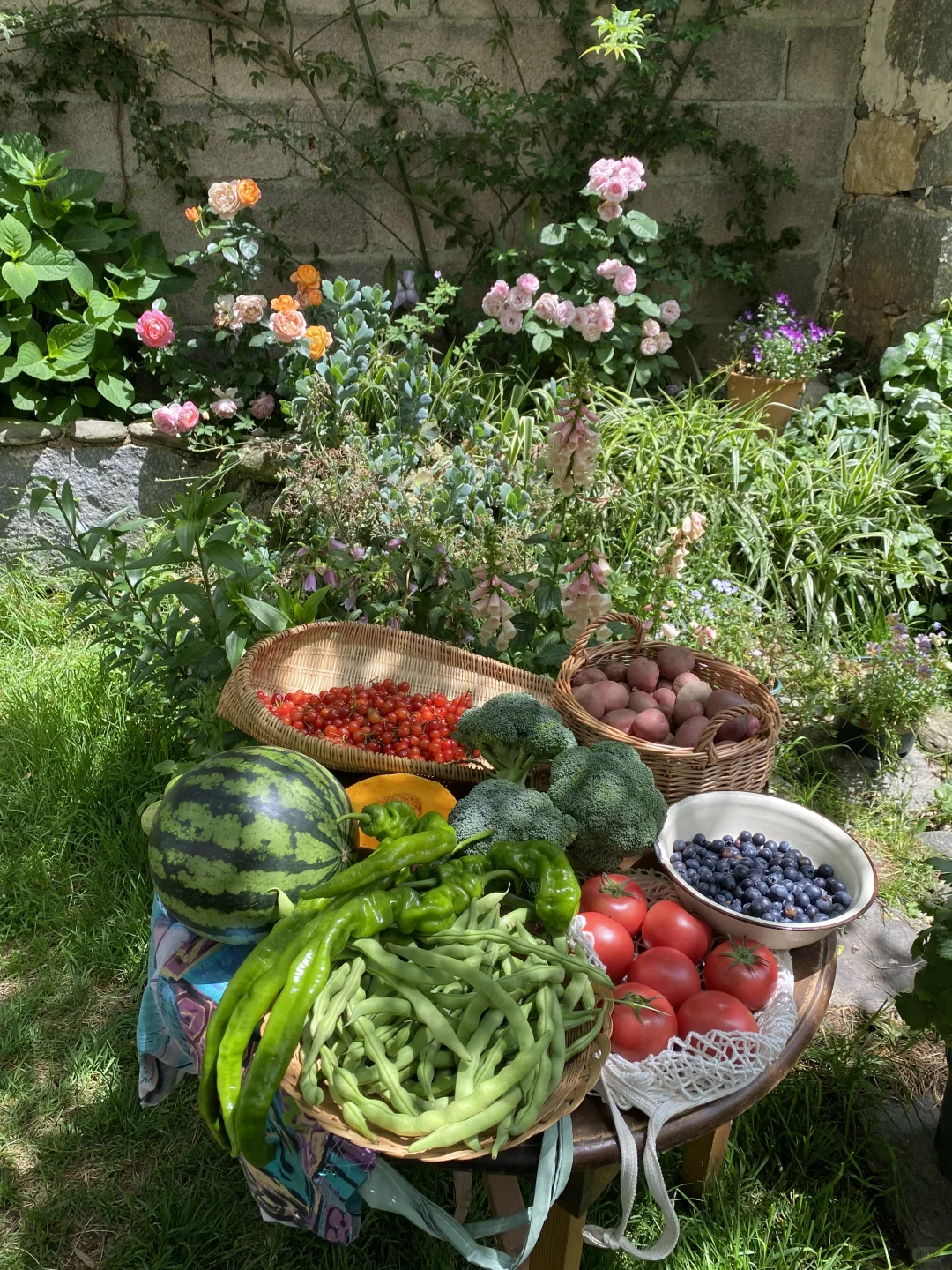 久违的乡村市集