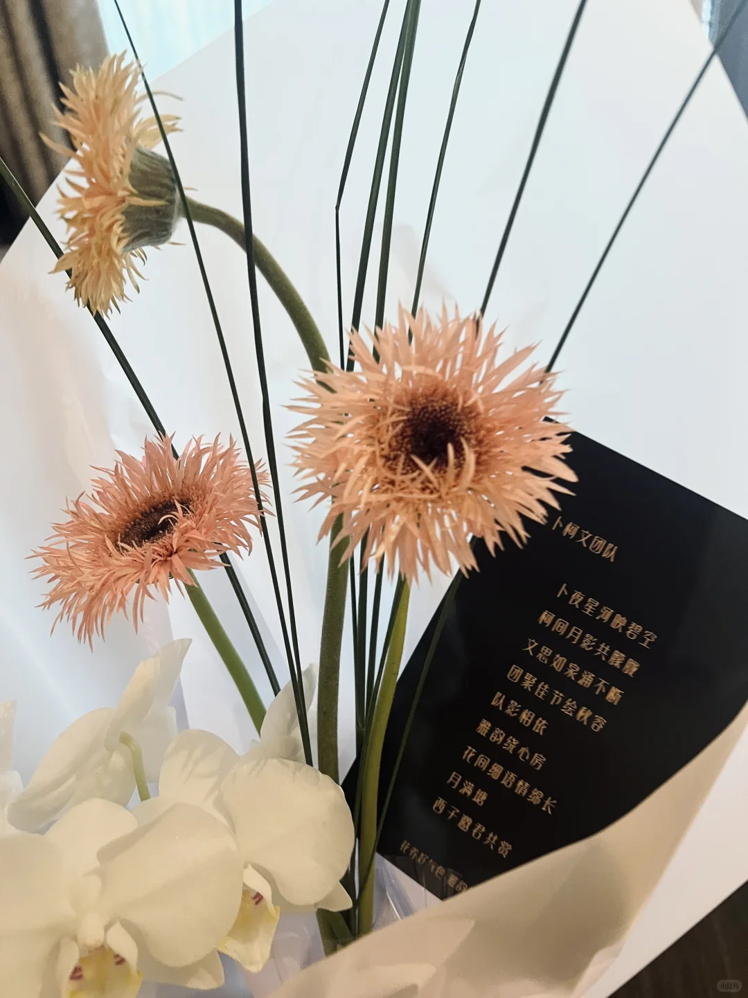 参加了新品发布会，工作日常