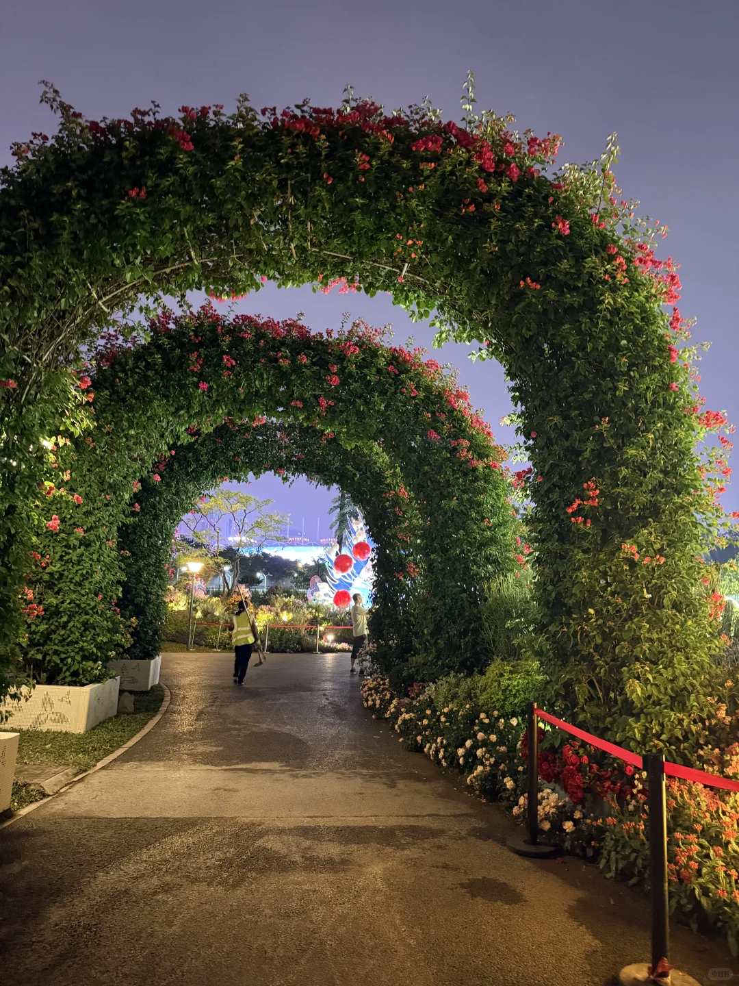 亮灯了！！广州的浪漫是花城给的！！