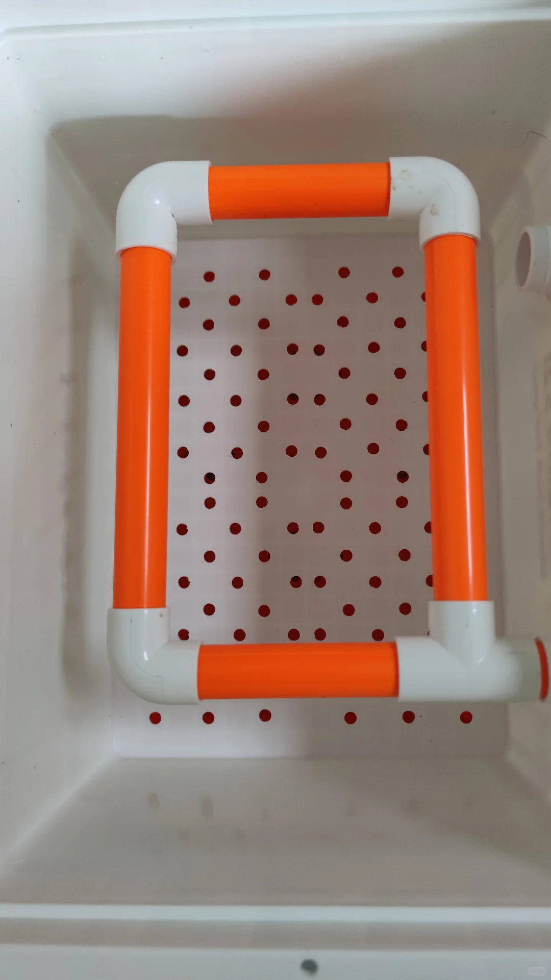 金典白橙【周转箱过滤】