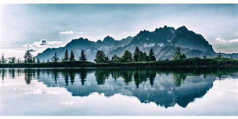 从AI到绿色:探索人工智能如何助力我们地球