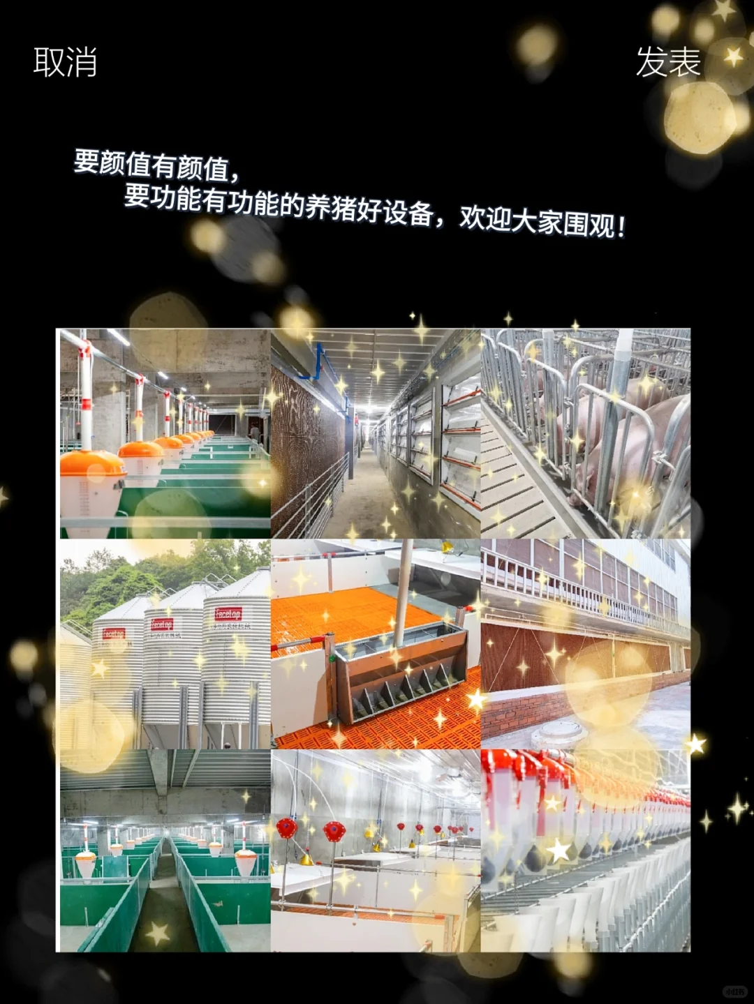 “呕心沥血”整理的养猪设备干货,拿走不谢