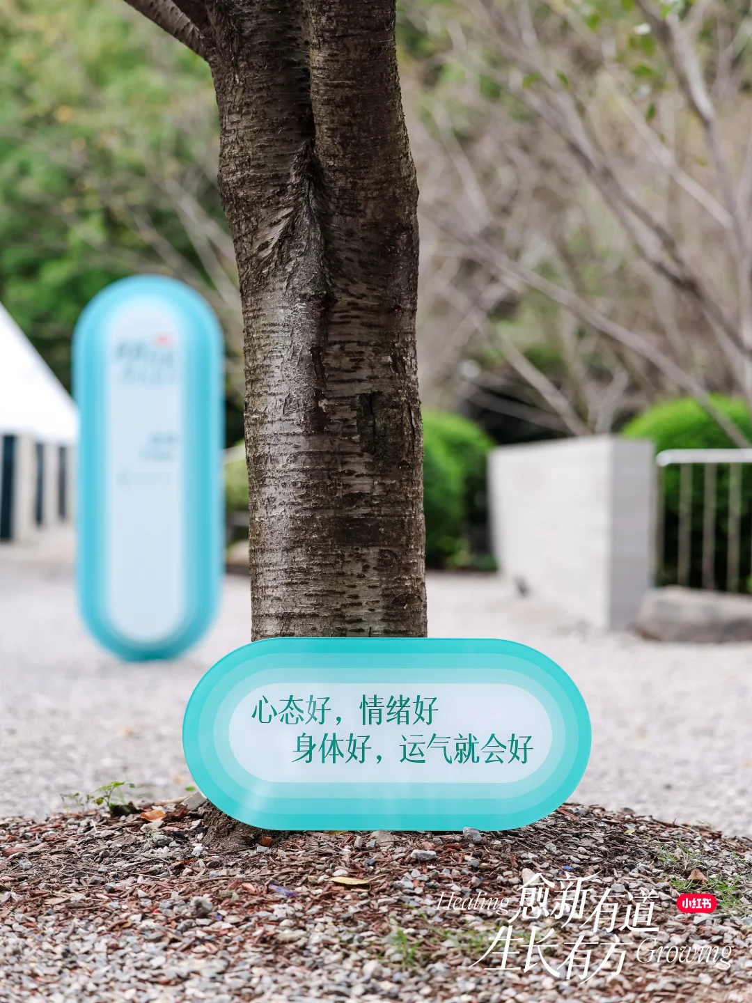 《2025小红书健康行业峰会》