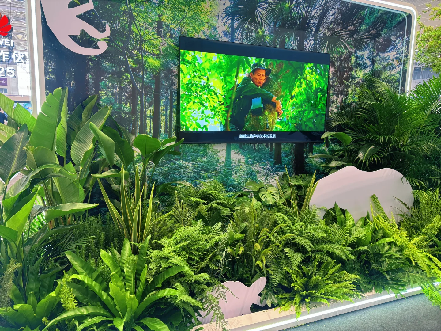 华为2025年供应商大会展台植物装饰