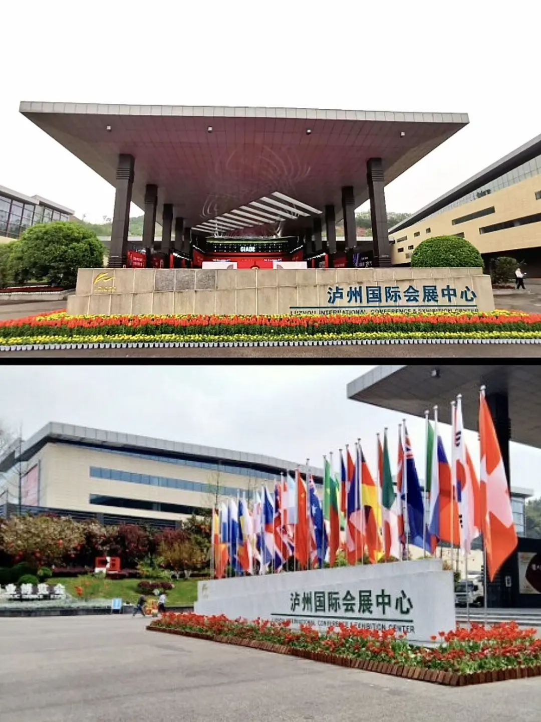 2025 川南宠物峰会攻略|一篇搞定