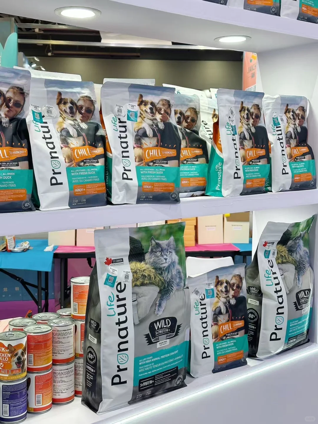 华东宠物展|枫趣 & Pink 也太好逛啦