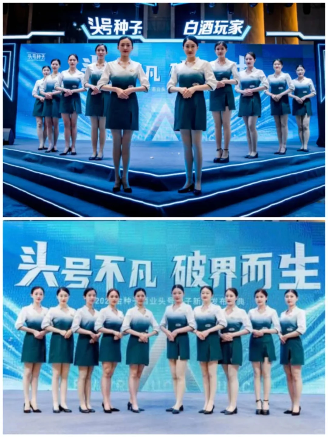 活动策划:酒业新品发布会盛典