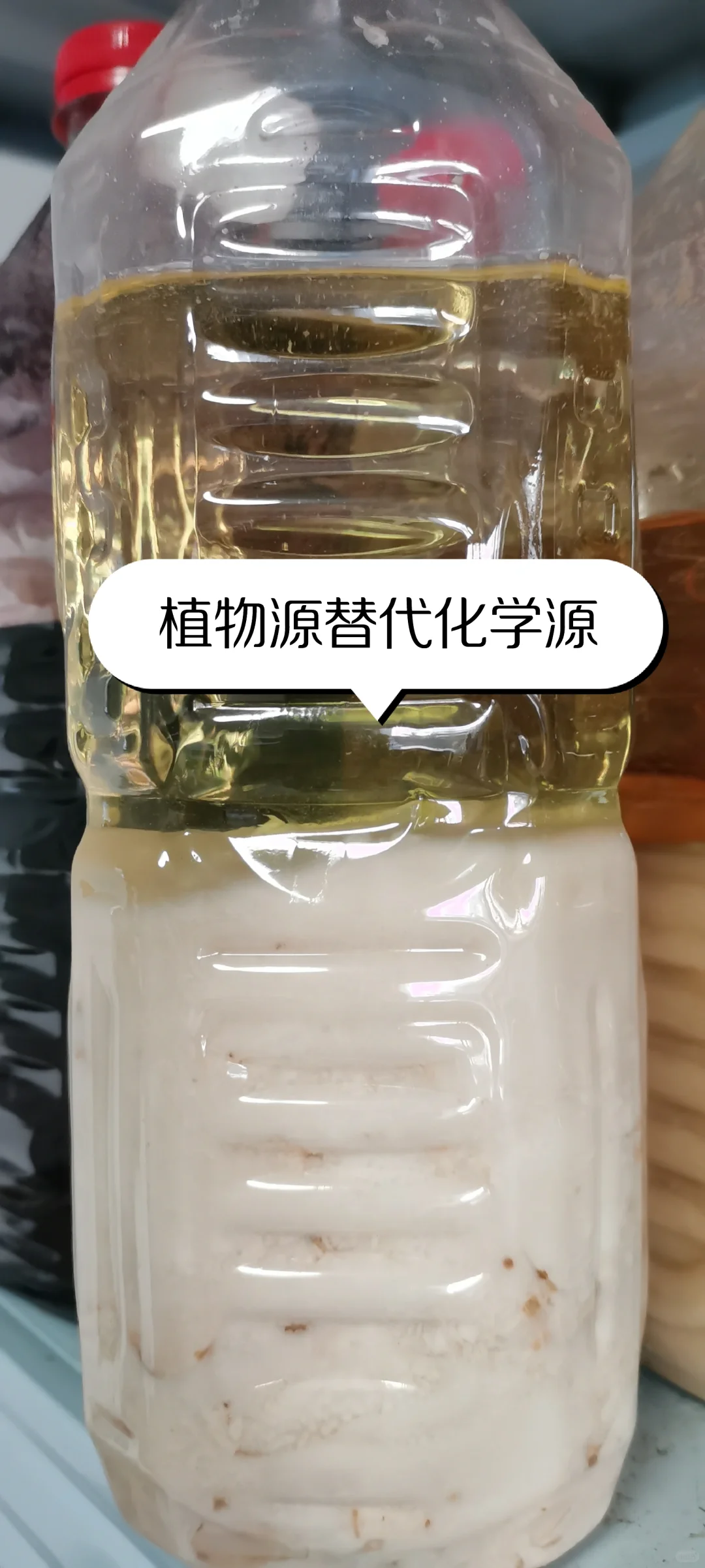 天然护肤党狂喜!植物鲜萃告别化学在家搞定