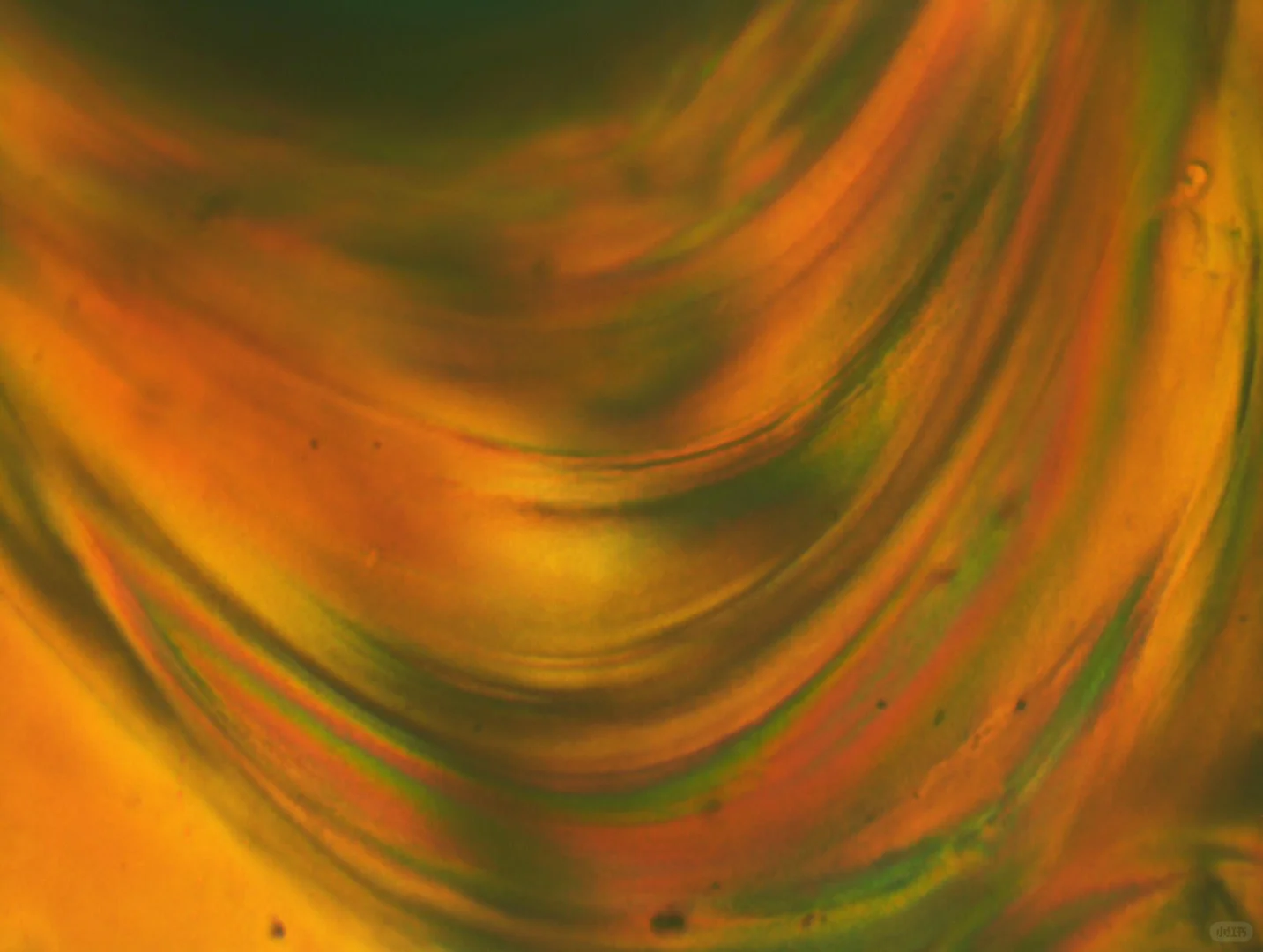 显微镜下的艺术 —— 液晶织构