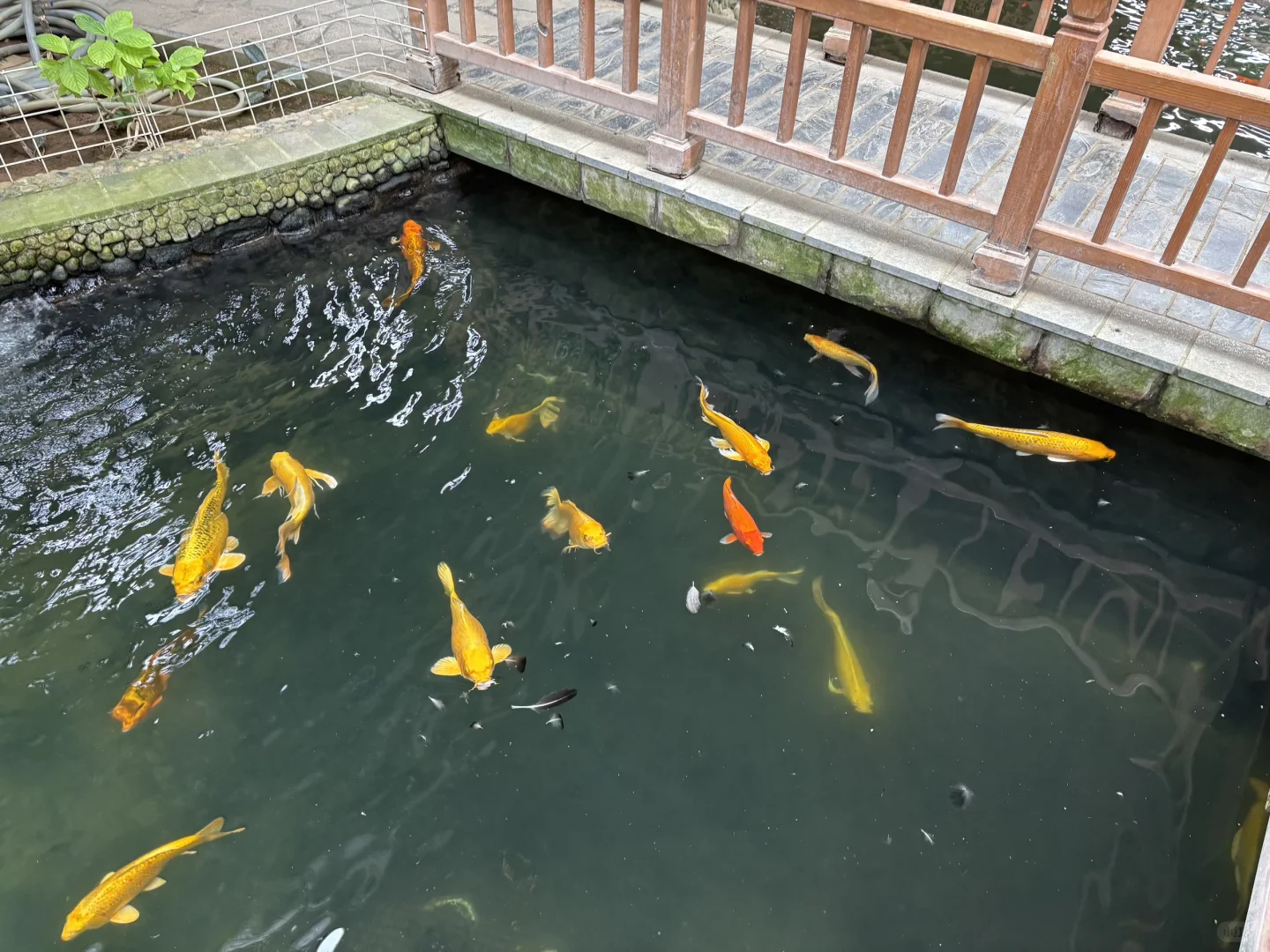 北京博物馆分享第二十九站—北京地热博览馆！