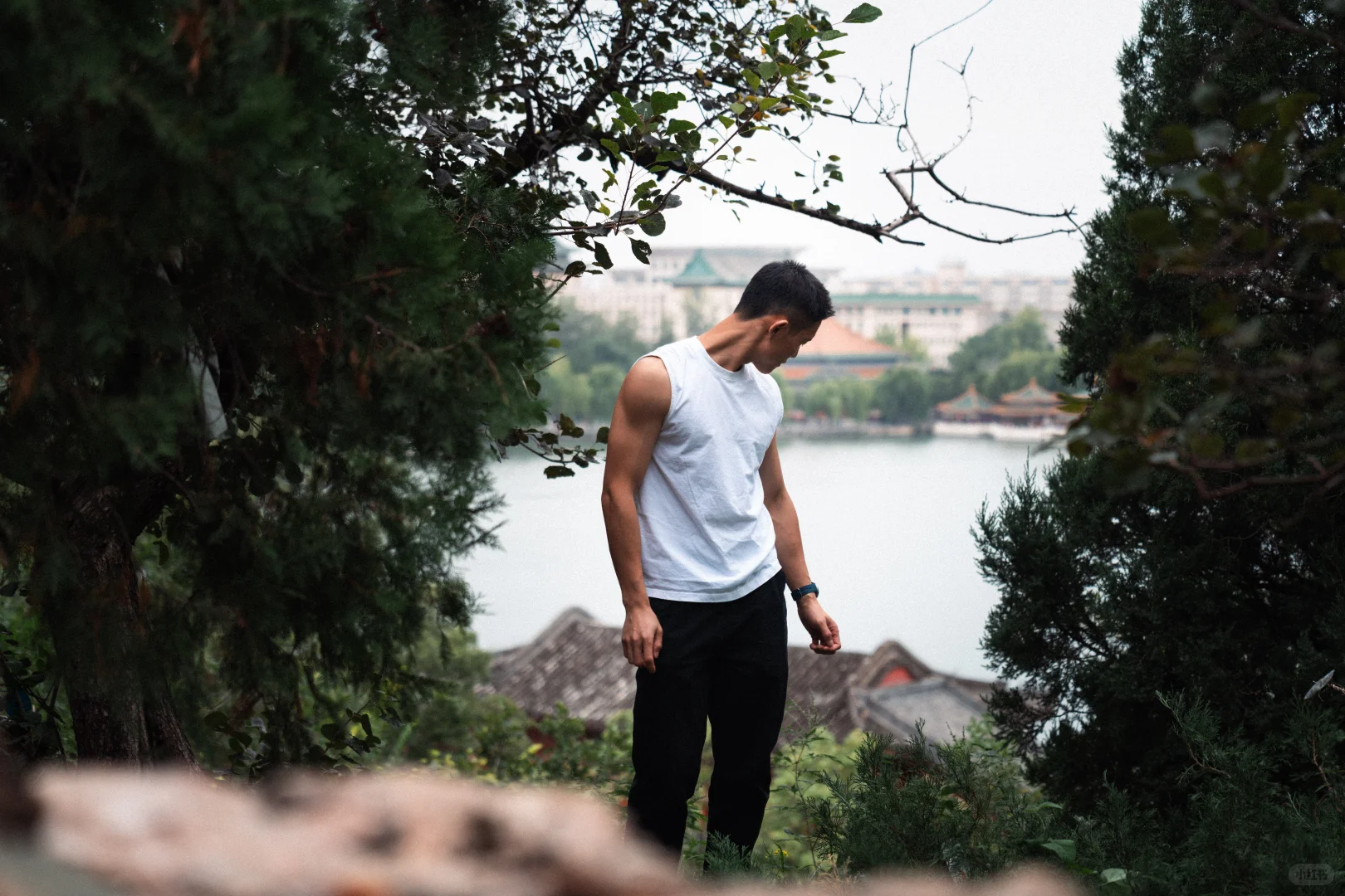 机位在，景山公园！