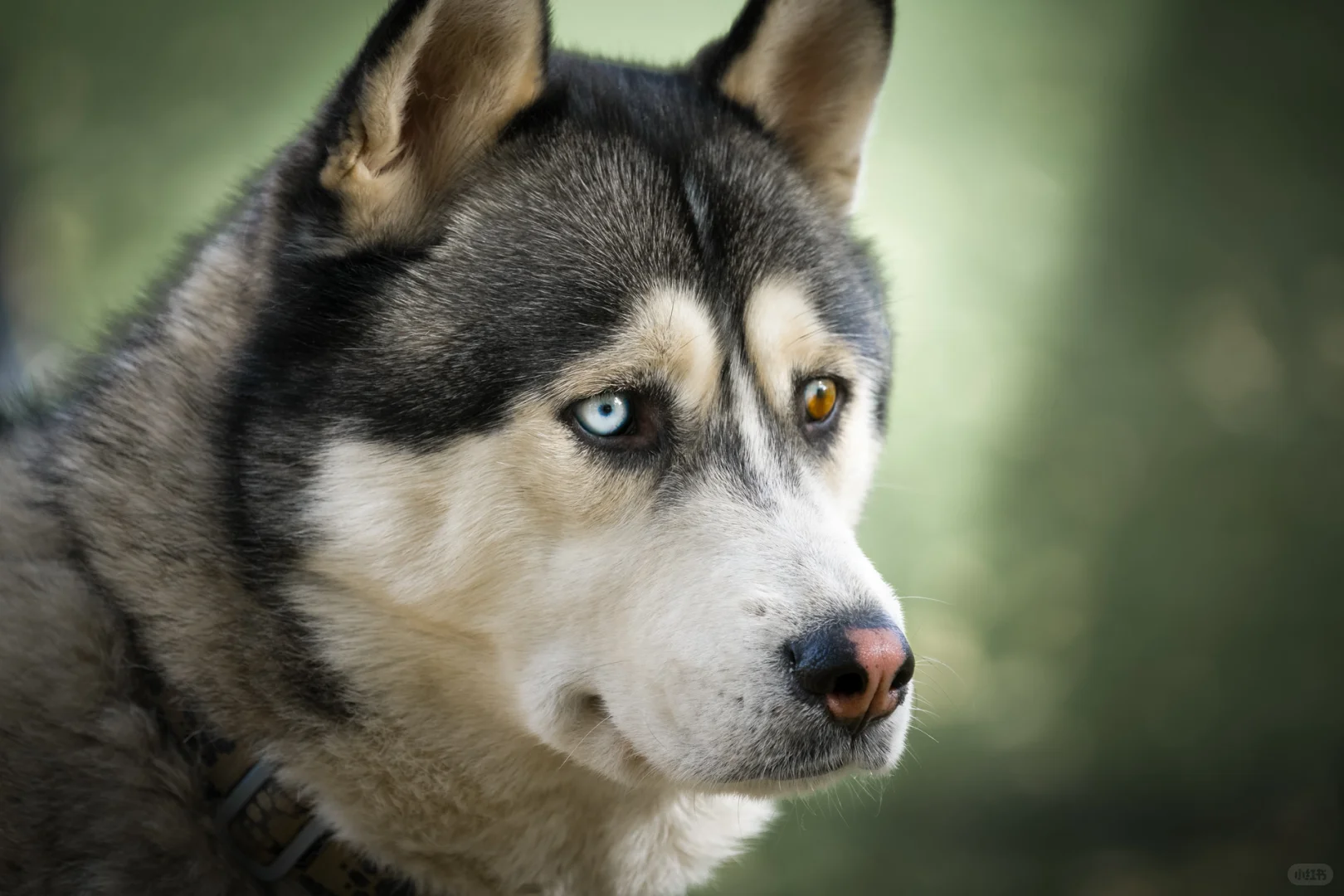 我用索尼a6700拍的照片