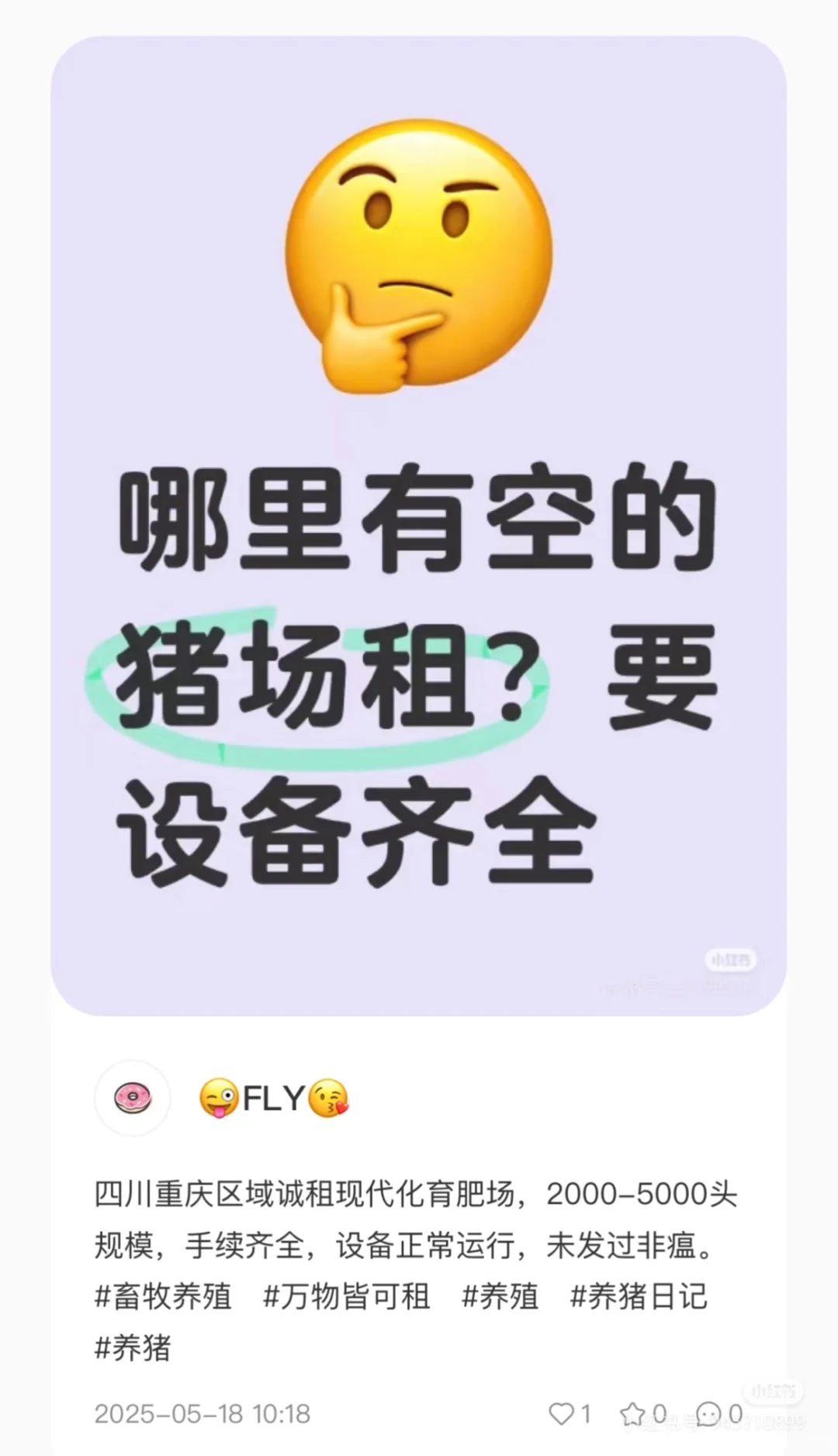 找猪场找猪场找猪场#养殖 #畜牧养殖 #养猪日