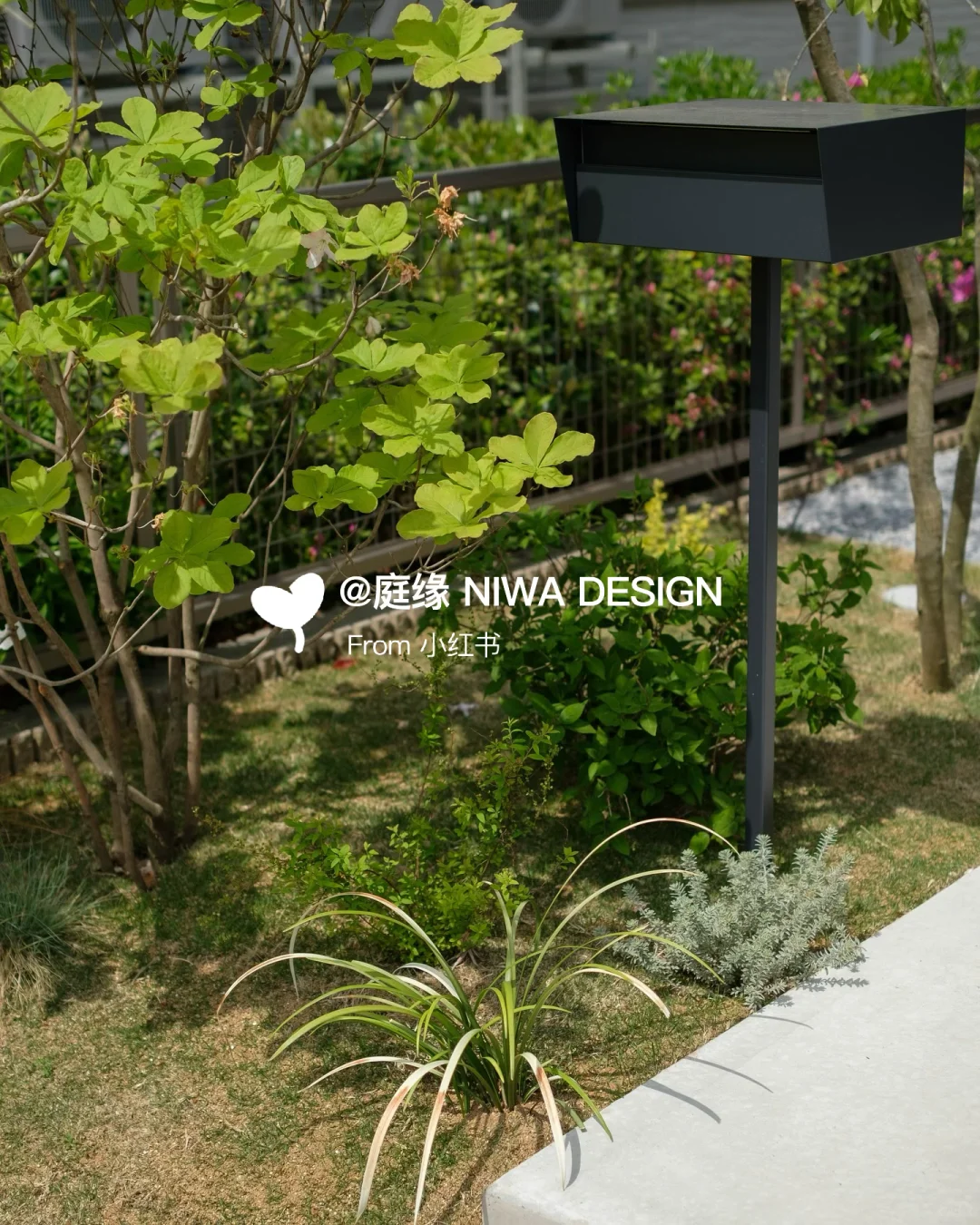 原色混凝土×杂木植栽，演绎现代外观美学