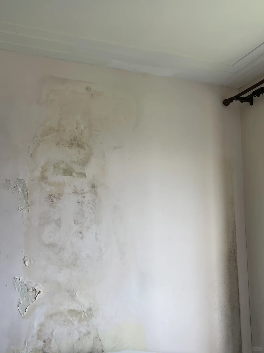 工地打卡08 | 原来！墙面发霉容易住生病