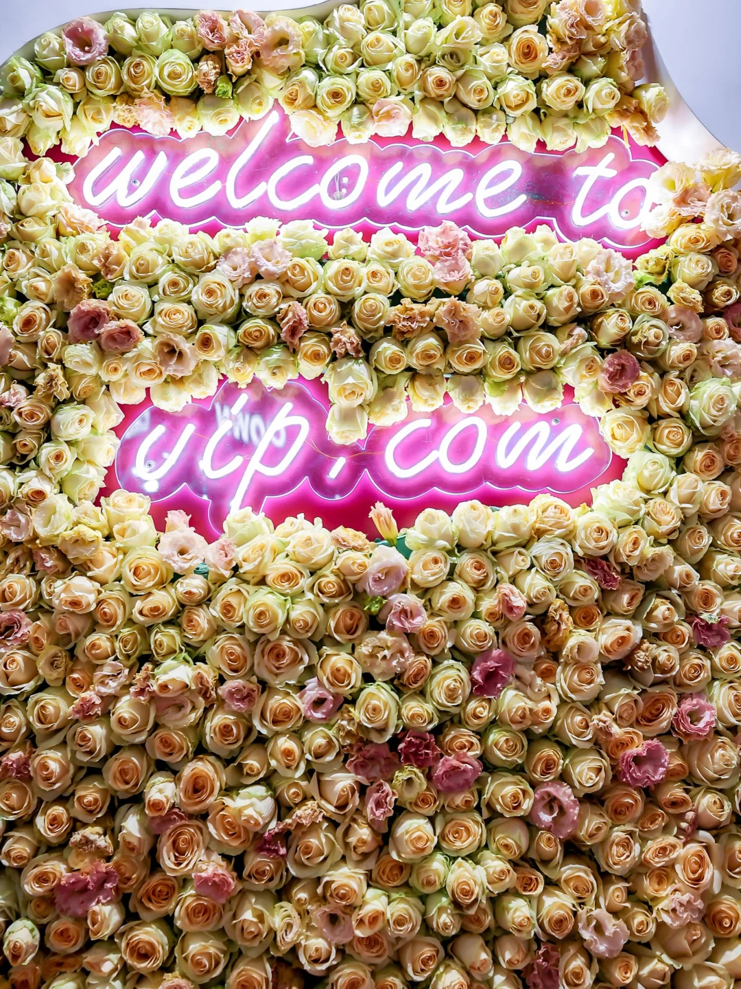 第六届进博会‖唯品会『线上奥莱』展台创意