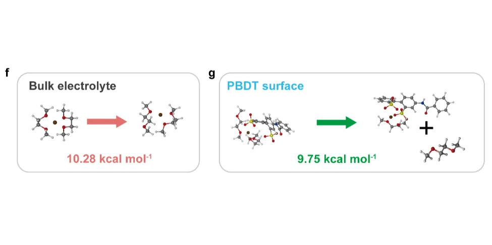 AM：液晶聚合物调控实现高性能锂硫电池！