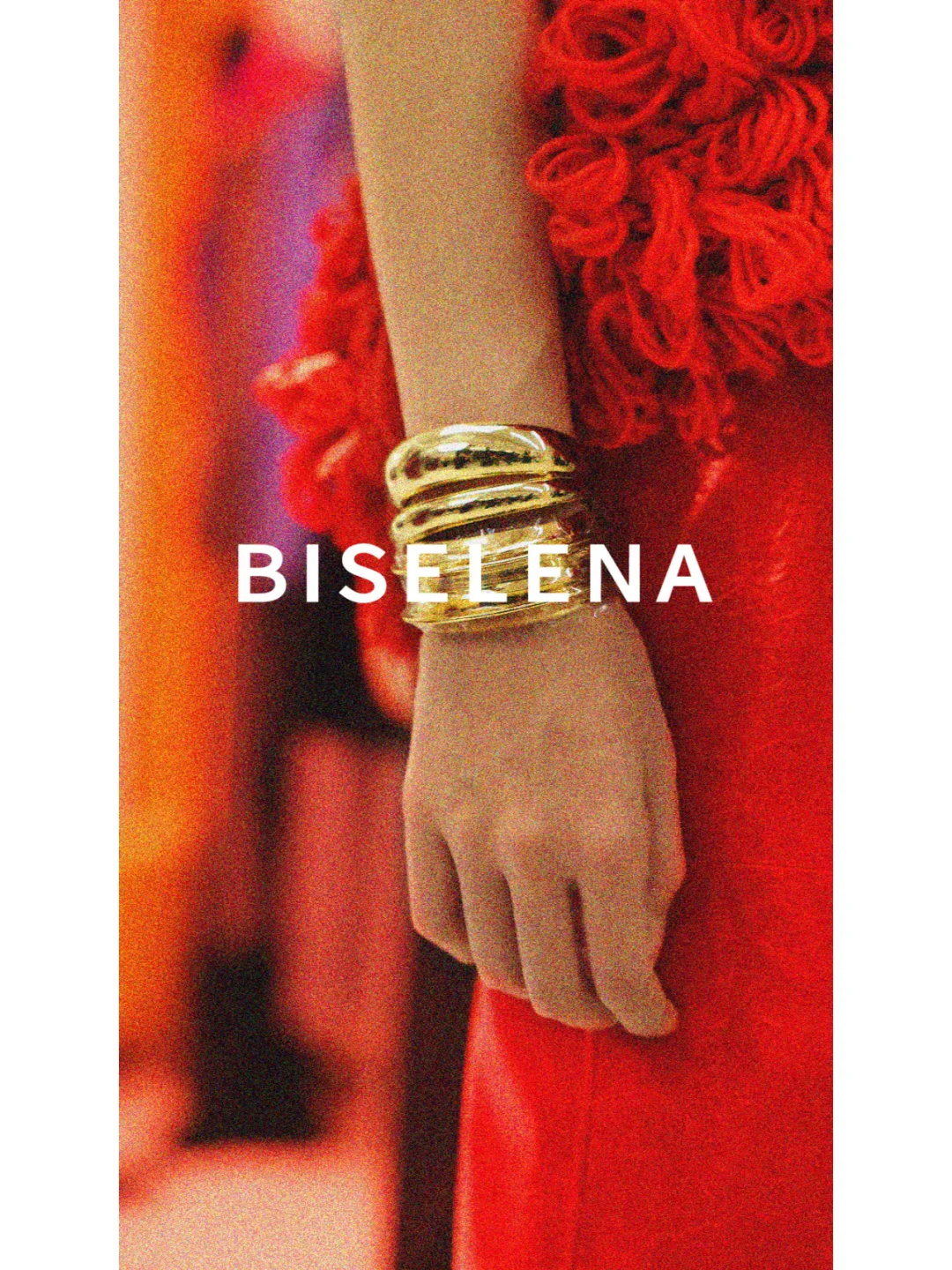 BISELENA丨2024秋冬新品发布会