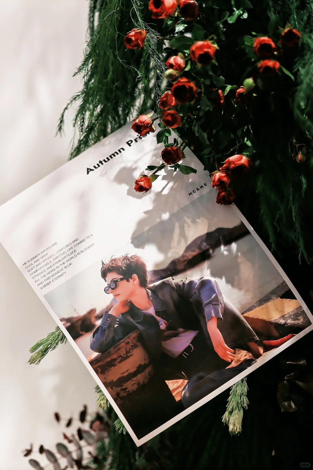 25秋季发布会-剧透