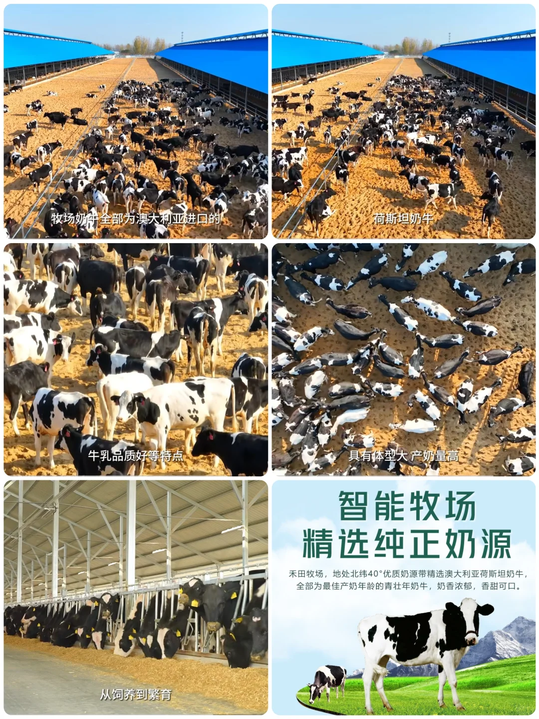 别再羡慕其它城市鲜奶了⚠️秦皇岛鲜奶配送