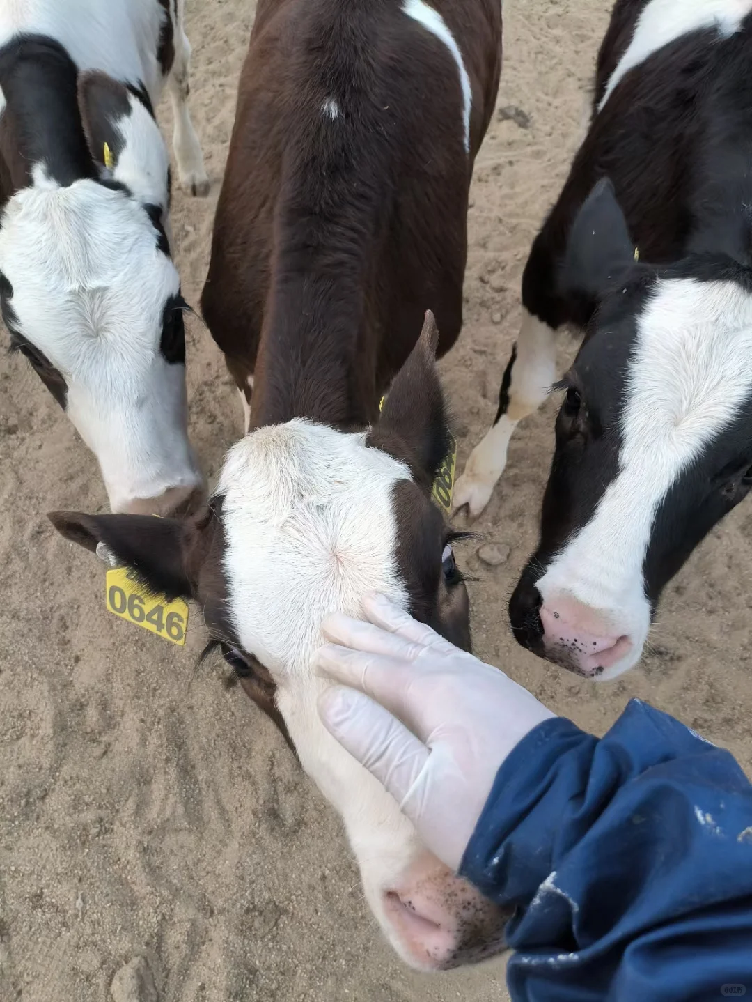 工作找到了 土木转行电工