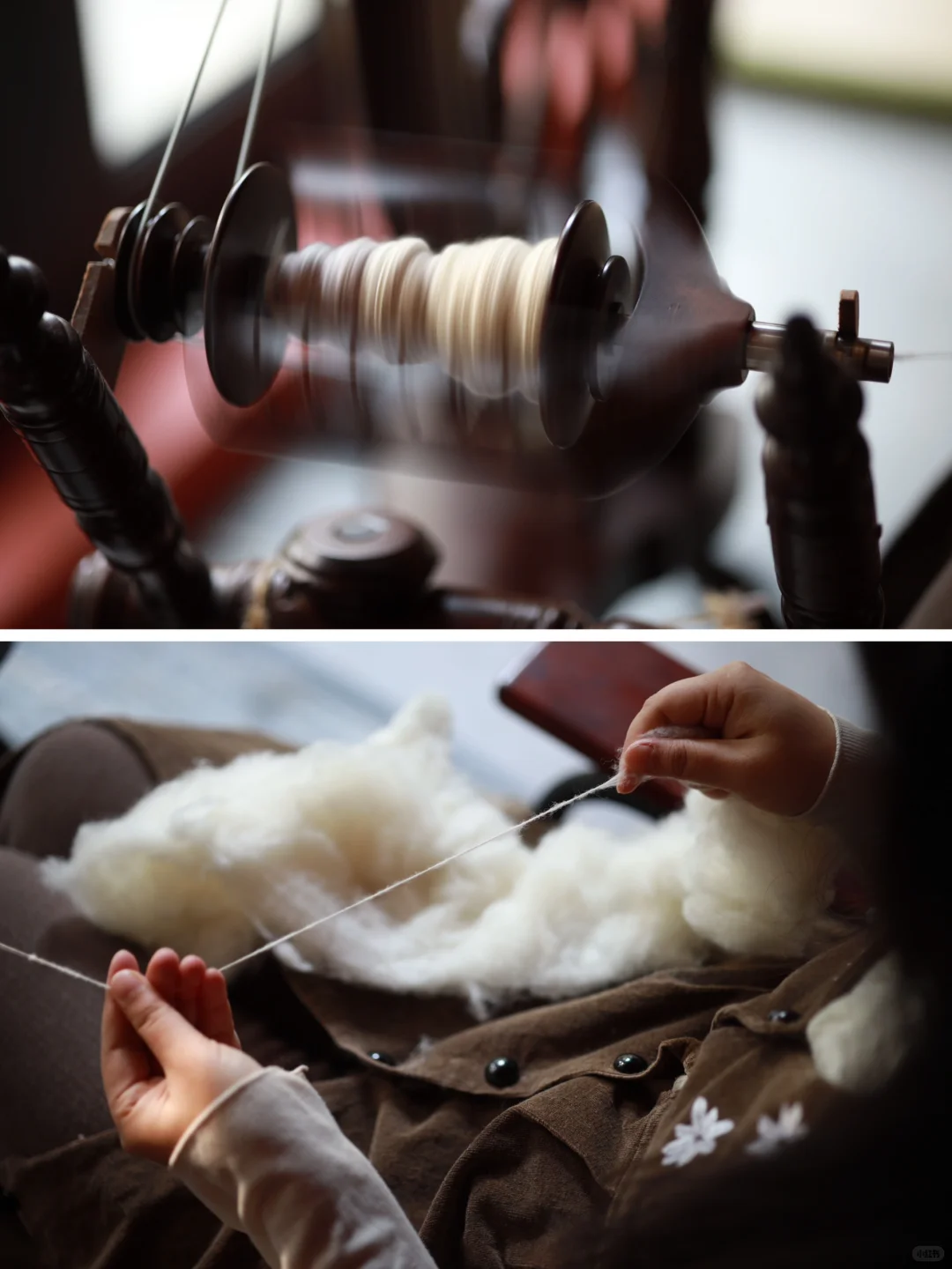 今日纺国产绵羊毛～