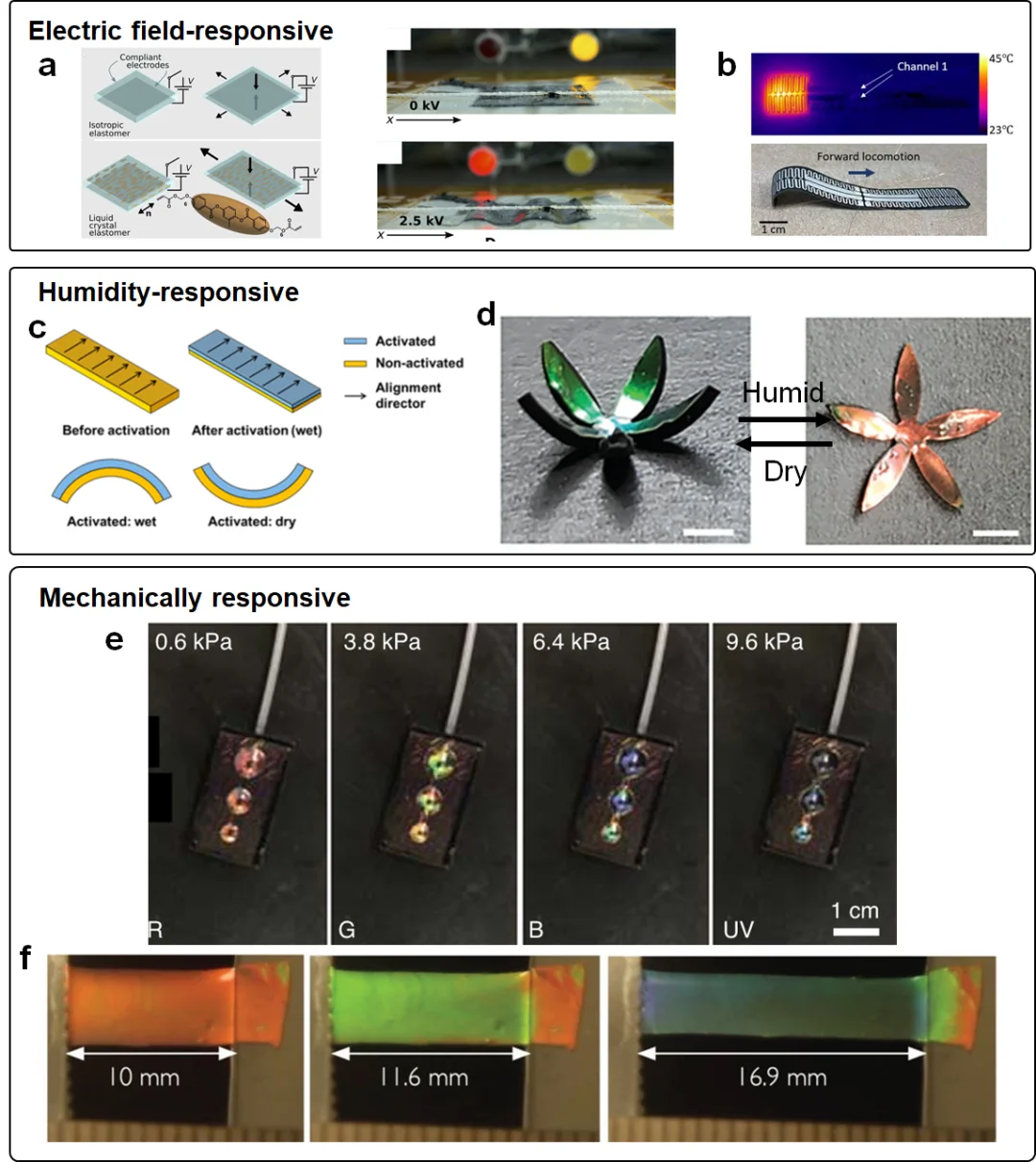 综述：基于液晶聚合物的软体机器人和致动器