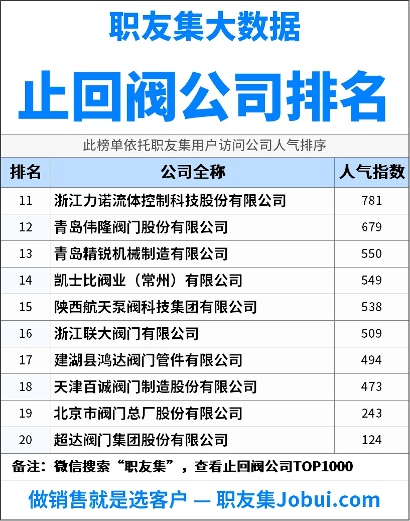 2025年中国止回阀公司排行榜