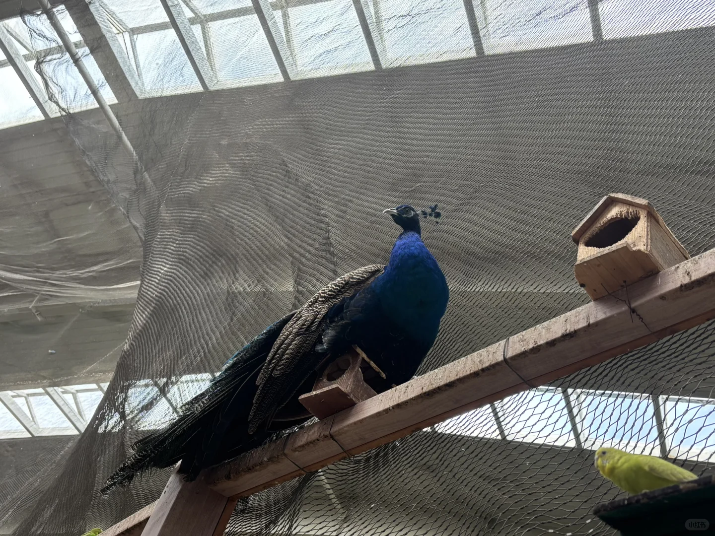 北京博物馆分享第二十九站—北京地热博览馆！