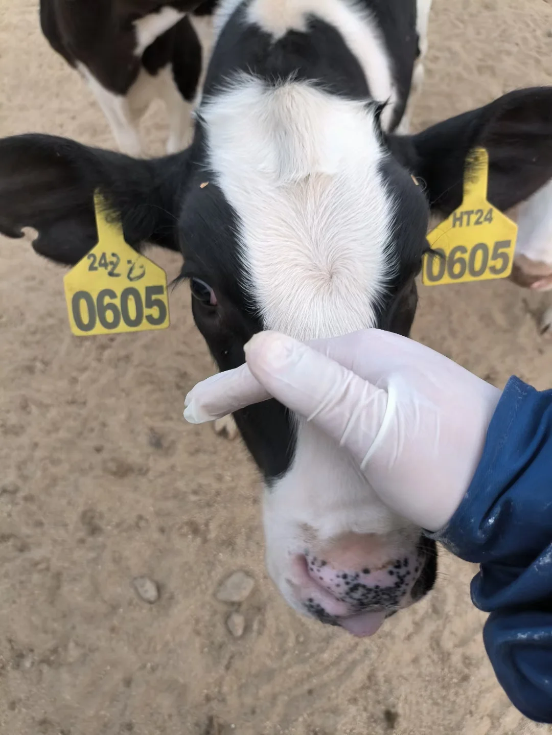 工作找到了 土木转行电工