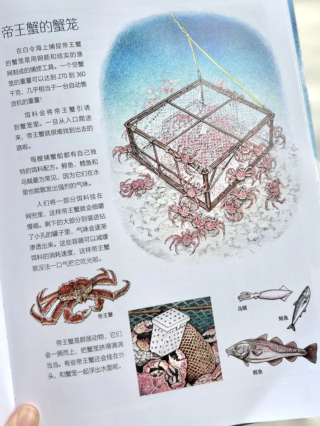 ⚙️?工业风?剖面拆解爱好者狂喜!!!