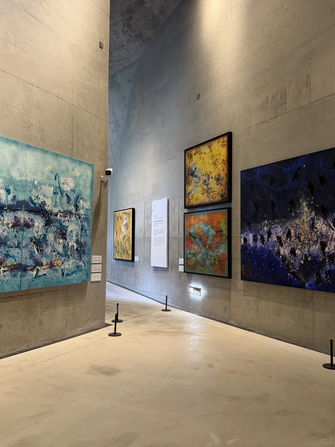 近期杭州最被低估的一个免费新展！？