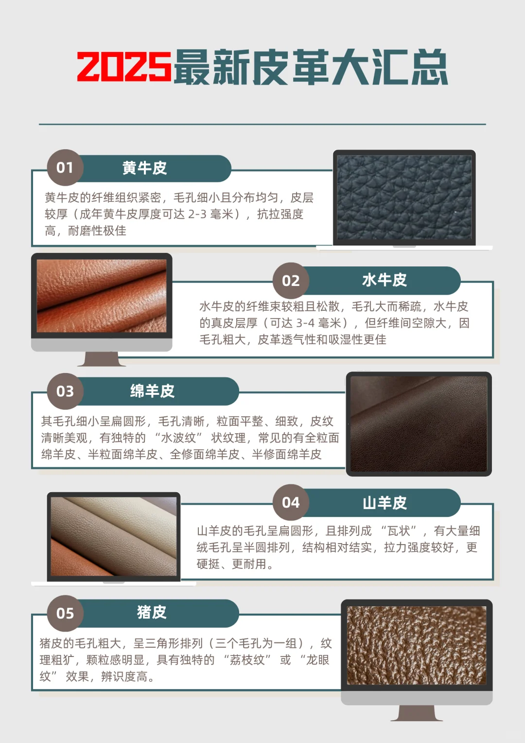 2025年最新皮革汇总来啦