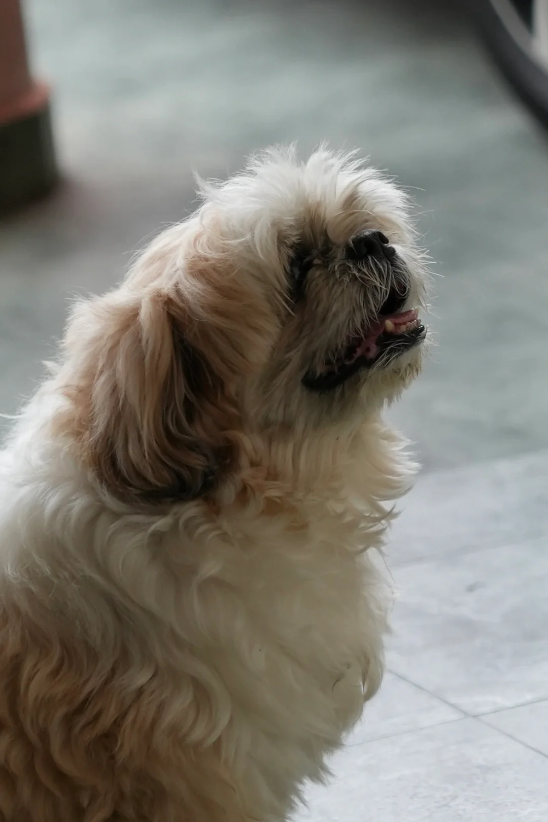 ??人生第一架微单 - Sony a7m4